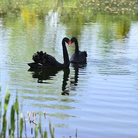 Dom Na Wodzie Mazury Villa Dzwierzuty Eksteriør billede